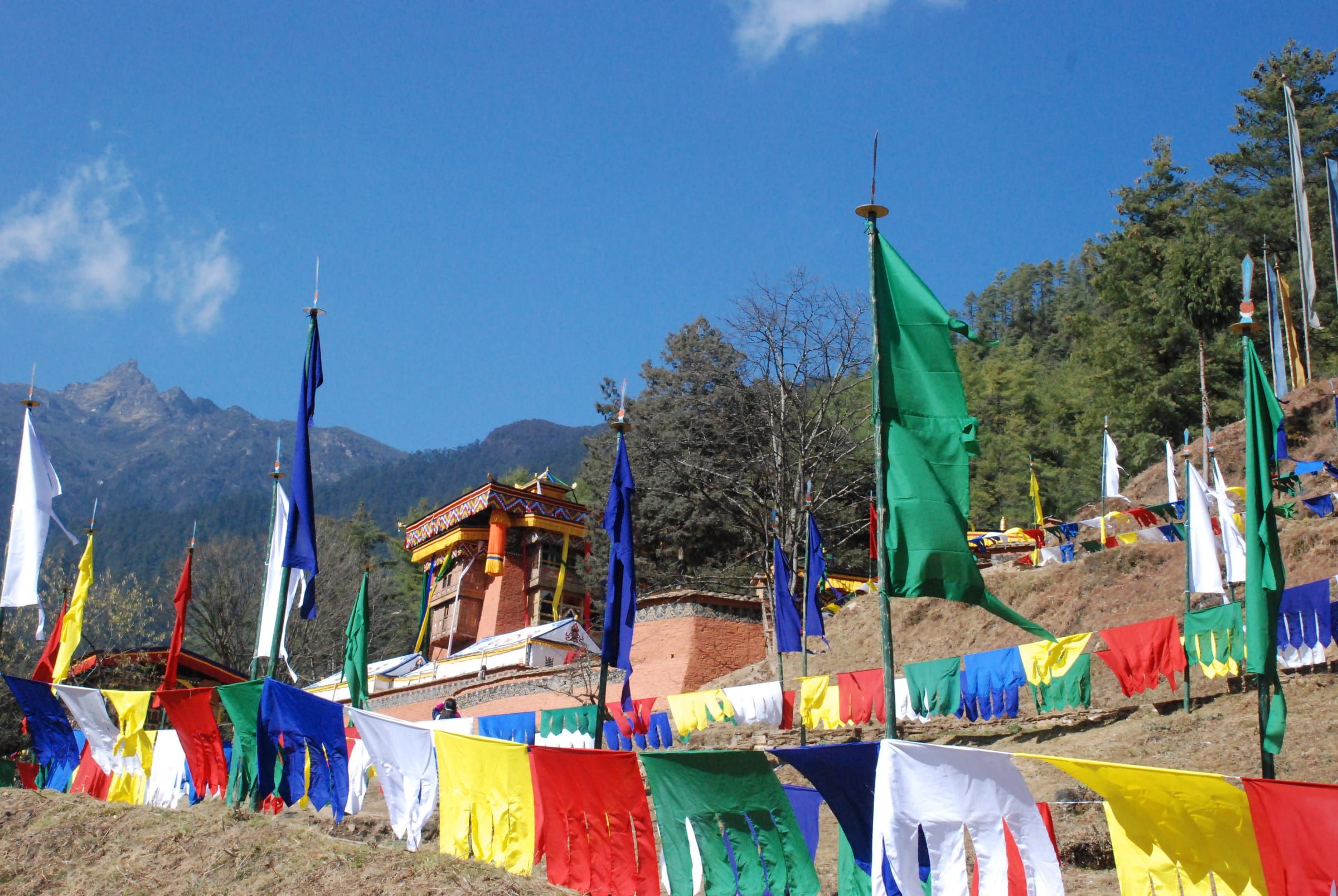 Prayer flags on tall poles in front of Dechenphu Lhakhang, with mountains behind.