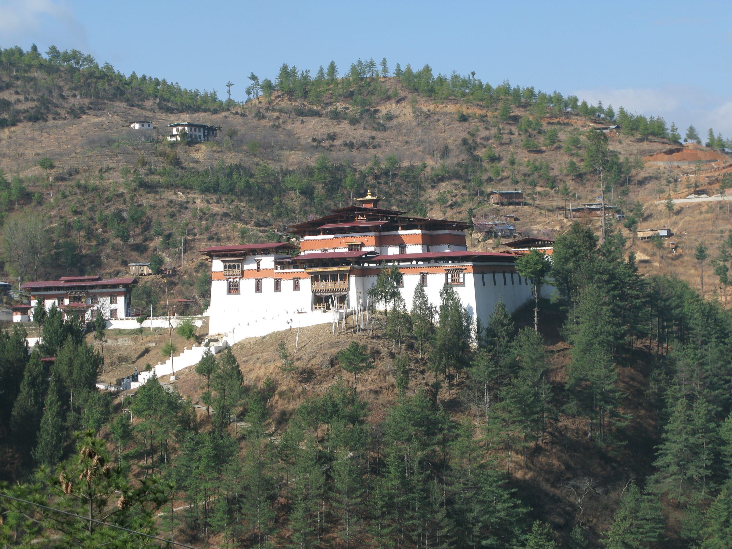 A white dzong on a pine-covered hillside under a clear sky.
