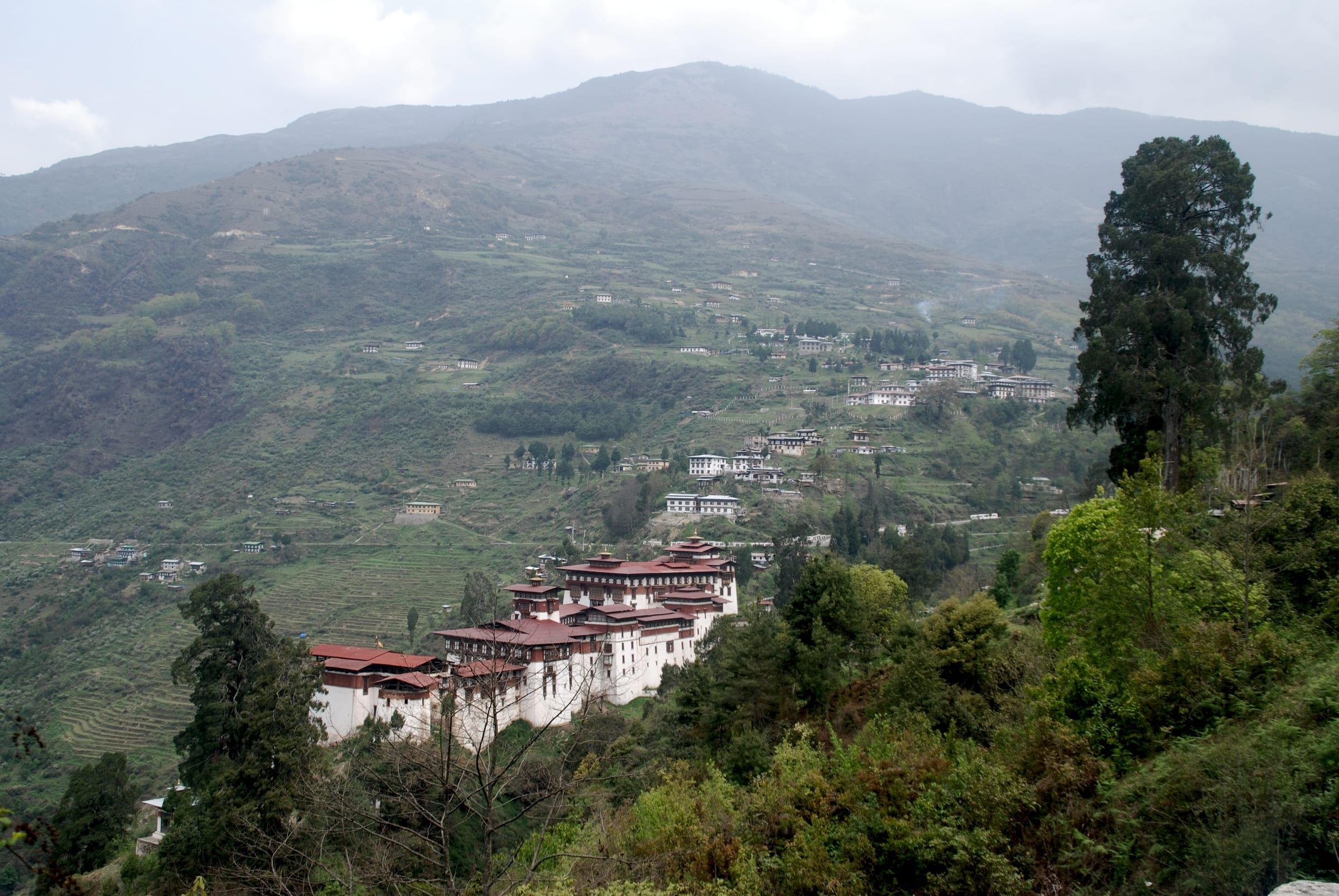 Trongsa Dzong on its ridge above terraced fields.